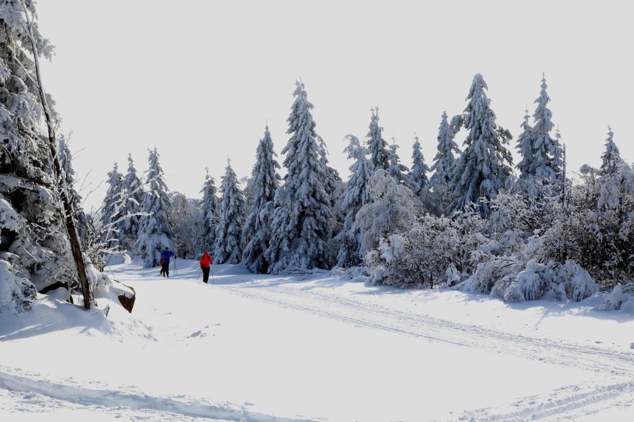 Hotel Lugsteinhof Altenberg ภายนอก รูปภาพ